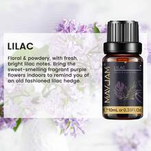 MAYJAM 1pc 10ml/0.33Fl.Oz. Lilac Fragrance Oils For Diffuser,Humidifier,Candles Making,DIY Aroma Spray,Home SPA,Aromatherapy Skin Care,Freshen Indoor Space,Office Relaxation,Long-Lasting Scents - Lilac - View 6