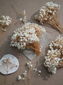 Cielo estrellado beige