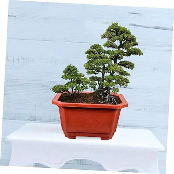 10pcs Deep Flowerpot For Ficus Bonsai Japanese Bonsai Pot Indoor Plant Pot Plastic Garden Container