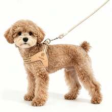 Conjunto de Chaleco Arnés Anti-Tirones para Mascotas, Chaleco Ajustable y Cómodo, Material Suave, Esponja Compuesta y Tela de Malla de Ojo de Pájaro, Adecuado para Gatos y Perros, con Tiras Reflectantes, Almohadillas Transpirables y Diseño a Prueba de Escapes - Multicolor - Ver 10