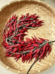 1件裝仿真辣椒花環，逼真假蔬菜與仿真農產品植物藤蔓，農舍風格收穫裝飾，秋季感恩節，廚房餐廳儲藏室壁掛，鄉村農場派對道具，秋季家居裝飾，仿真植物，房間裝飾，牆面裝飾，收穫節掛飾 - 紅色 - 查看 4