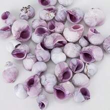 10pcs Light Purple Shells | Suitable For Fish Tank Aquarium Micro Landscape Decoration - Mini Hermit Crab Shell Replacement, Handmade DIY Niche Home Decor, Shell Wind Chime, Ocean Theme Party Decoration - Set - View 1