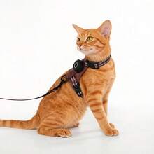 Conjunto de Arnés & Correa para Mascotas con Cubierta Protectora GPS, Kit Ajustable para Pasear Gatos y Perros, Correas Reflectantes, Diseño Transpirable - Marrón - Ver 1