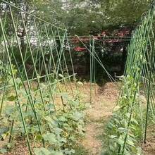 50PCS Round Plant Support Stakes, Vegetable, Fruit Climbing Vine Support Rods, For Orchard, Outdoor Flower Bed - A - View 3