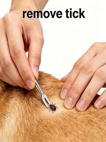 1/3/4pcs Stainless Steel Flea Removal Tool And Grooming Kit; A Flea-Removal Comb Designed For Catching Fleas And General Grooming. Convenient And Practical, It Is Ideal For Daily Home Grooming And The Top Choice For Pet Hygiene. - Multicolor - View 3