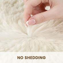 EDIMENS Fluffy Area Rugs For Bedroom & Living Room Large, Soft Plush Modern Rug For Kids Room, Anti Slip Bedroom Rugs, Thick & Shaggy Carpet Floor Mat For Home Decor - Creamy White - View 5