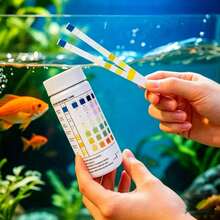 100pcs 7-In-1 Water Quality Test Strips, Pool Test Strips, Accurately Measure PH, Hardness, Total Chlorine, Total Alkalinity And Bromine, Convenient For Monitoring Pool Water Quality - Multiple Styles - View 3