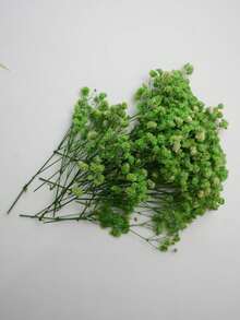 25/50/100/300pcs Artificial Baby's Breath Bouquet, Artificial Flowers, Baby's Breath Plants, Baby's Breath Flowers, Artificial Baby's Breath Bouquet, Suitable For Wedding Bridal Bouquet, Home Craft Decoration, Tabletop Decoration, Vase Arrangement, DIY Floral Decoration (Suitable For Weddings And Holidays), Room Decoration, Valentine's Day, Birthday Gift, Graduation Gift, Garden Decoration, Outdoor Plants, Gardening - Green Baby's Breath - View 6