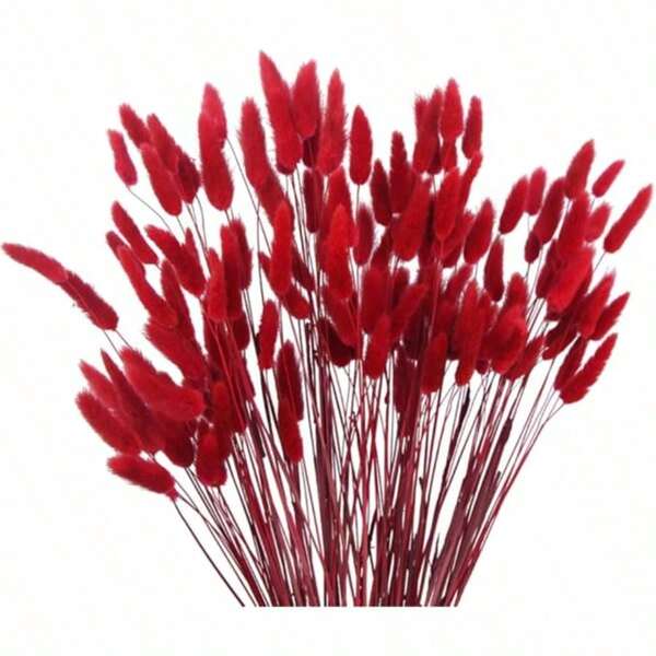 30-240 pcs, Rumput Ekor Kelinci Buatan Merah 17 Inci, Batang Rumput Ekor Kelinci Buatan untuk Dekorasi Rumah, Cocok untuk Dekorasi Bunga Gaya Bohemian, Kerajinan DIY, Dekorasi Dapur Rumah dan Pernikahan, Natal, Thanksgiving, Pembuatan Karangan Bunga.