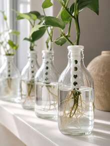 1/2Pcs Hydroponic Plant Propagation Stem Fixer, Universal Glass Bottle Plant Holder, White PP Plastic Hollow Breathable Anti-Lodging Support, For Water Plant Cuttings Rooting, Desktop Windowsill Balcony Garden Decor, Gift For Plant Lovers - Multiple Styles - View 4