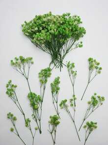 25/50/100/300pcs Artificial Baby's Breath Bouquet, Artificial Flowers, Baby's Breath Plants, Baby's Breath Flowers, Artificial Baby's Breath Bouquet, Suitable For Wedding Bridal Bouquet, Home Craft Decoration, Tabletop Decoration, Vase Arrangement, DIY Floral Decoration (Suitable For Weddings And Holidays), Room Decoration, Valentine's Day, Birthday Gift, Graduation Gift, Garden Decoration, Outdoor Plants, Gardening - Green Baby's Breath - View 3