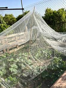 1 paquete, 60 mallas de red de insectos, hecho de polietileno, fácil de cortar, malla transparente, red protectora para cubrir frutas, red de protección de plantas para invernadero, red a prueba de insectos para invernadero, película protectora para plantas y frutas - Multicolor - Ver 5