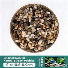 1件裝 100g/300g/500g 0.3~2cm 天然原色溪流石 混色河石鵝卵石 戶外花園裝飾石 小填充石 魚缸與花盆裝飾 魚缸底砂 小花園藝術 戶外空間 花瓶填充石 - 豆石 - 查看 9