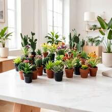 10pcs Mixed Mini Plant Models, Mini Cactus Potted Plants, Mini Scene Decoration, Decorative Green Plants, Flower Pots, Decorative Flowers, Random Styles, Mixed - A - View 2