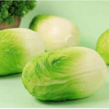 Creative Realistic Cabbage Squeeze Toy - Soft Texture & Quick Rebound - Party Gift - Stress Relief Gadget - Random Color - View 8