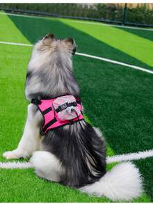 1 pieza Chaleco mochila para mascotas con material reflectante para uso nocturno, mochila para golosinas de mascotas - Multicolor - Ver 6