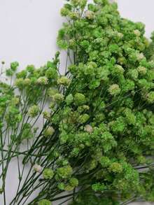 25/50/100/300pcs Artificial Baby's Breath Bouquet, Artificial Flowers, Baby's Breath Plants, Baby's Breath Flowers, Artificial Baby's Breath Bouquet, Suitable For Wedding Bridal Bouquet, Home Craft Decoration, Tabletop Decoration, Vase Arrangement, DIY Floral Decoration (Suitable For Weddings And Holidays), Room Decoration, Valentine's Day, Birthday Gift, Graduation Gift, Garden Decoration, Outdoor Plants, Gardening - Green Baby's Breath - View 8