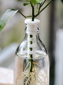 1/2Pcs Hydroponic Plant Propagation Stem Fixer, Universal Glass Bottle Plant Holder, White PP Plastic Hollow Breathable Anti-Lodging Support, For Water Plant Cuttings Rooting, Desktop Windowsill Balcony Garden Decor, Gift For Plant Lovers - Multiple Styles - View 2