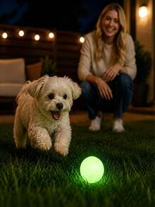 2pcs/1pc Glow-In-The-Dark Elastic Ball, Pet Dog Toy Ball, Durable Chew Toy Ball, Teething Training Ball For Large, Medium And Small Dogs (This Product Is An Elastic Ball, It Does Not Glow By Itself) - Multicolor - View 2