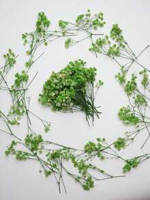 25/50/100/300pcs Artificial Baby's Breath Bouquet, Artificial Flowers, Baby's Breath Plants, Baby's Breath Flowers, Artificial Baby's Breath Bouquet, Suitable For Wedding Bridal Bouquet, Home Craft Decoration, Tabletop Decoration, Vase Arrangement, DIY Floral Decoration (Suitable For Weddings And Holidays), Room Decoration, Valentine's Day, Birthday Gift, Graduation Gift, Garden Decoration, Outdoor Plants, Gardening - Green Baby's Breath - View 2