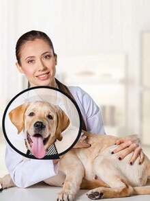 1pc Pet Recovery Collar Protective Cover Cat Dog Anti-Lick Anti-Bite - White - View 5