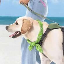 Hundekühlschals atmungsaktiver wiederverwendbarer Sommerkühlschals, verstellbar für verschiedene Hunderrassen und Größen, geeignet für Outdoor-Aktivitäten, mittlere Hunde können ihn mit Bändern tragen, handwaschbares Kühlzubehör - Grün - Übersicht 4