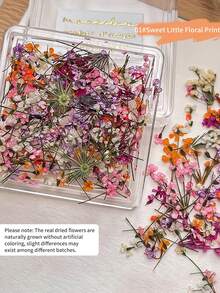Adesivos de Arte de Unhas com Flores Secas de Jardim Primavera/Verão, Adesivos de Arte de Unhas com Flores Secas Reais, Decoração de Unhas DIY, Encantos de Unhas - Multicolorido - Visão 26