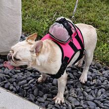 1 pieza Chaleco mochila para mascotas con material reflectante para uso nocturno, mochila para golosinas de mascotas - Multicolor - Ver 1