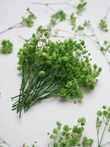 25/50/100/300pcs Artificial Baby's Breath Bouquet, Artificial Flowers, Baby's Breath Plants, Baby's Breath Flowers, Artificial Baby's Breath Bouquet, Suitable For Wedding Bridal Bouquet, Home Craft Decoration, Tabletop Decoration, Vase Arrangement, DIY Floral Decoration (Suitable For Weddings And Holidays), Room Decoration, Valentine's Day, Birthday Gift, Graduation Gift, Garden Decoration, Outdoor Plants, Gardening - Green Baby's Breath - View 5
