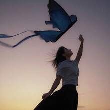 Blue Butterfly Easy-Fly Kite, High-Flying And Beautiful, For Adults, Photography, Autumn, Weifang, Adult Website - Multicolor - View 6
