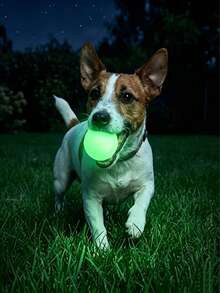 2pcs/1pc Glow-In-The-Dark Elastic Ball, Pet Dog Toy Ball, Durable Chew Toy Ball, Teething Training Ball For Large, Medium And Small Dogs (This Product Is An Elastic Ball, It Does Not Glow By Itself) - Multicolor - View 3