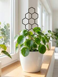 4pcs Creative Green Plant Pot Support, Climbing Frame, Gardening Flower Plant Fixing Rack - Multicolor - View 3