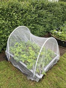 1 paquete, 60 mallas de red de insectos, hecho de polietileno, fácil de cortar, malla transparente, red protectora para cubrir frutas, red de protección de plantas para invernadero, red a prueba de insectos para invernadero, película protectora para plantas y frutas - Multicolor - Ver 4