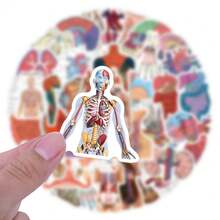 60pcs Human Anatomy Stickers, Doctor Theme, Suitable For Decorating Water Bottles, Laptops, Phones, Skateboards, Scrapbooks, Journals And More, Perfect Gift School Supplies - A - View 3
