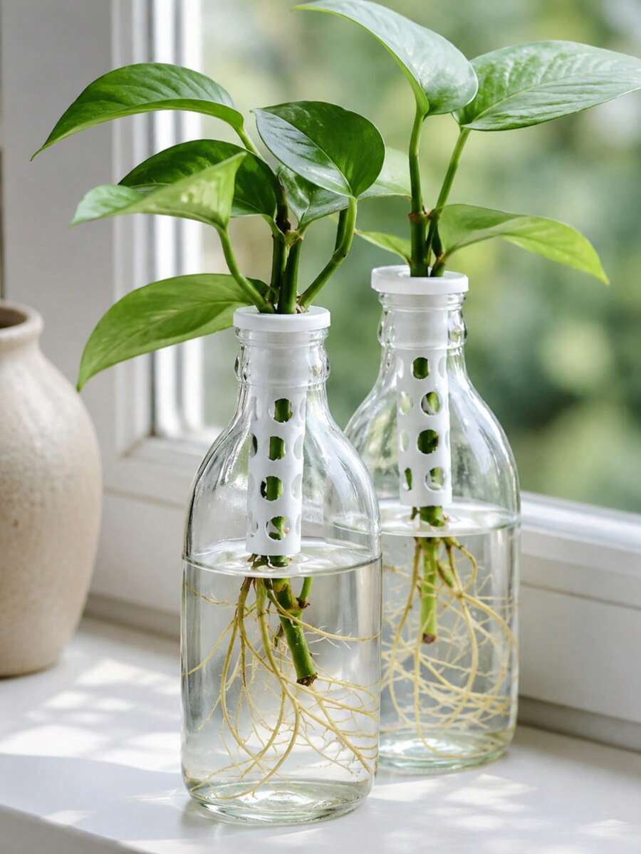 1/2Pcs Hydroponic Plant Propagation Stem Fixer, Universal Glass Bottle Plant Holder, White PP Plastic Hollow Breathable Anti-Lodging Support, For Water Plant Cuttings Rooting, Desktop Windowsill Balcony Garden Decor, Gift For Plant Lovers - Multiple Styles - View 1