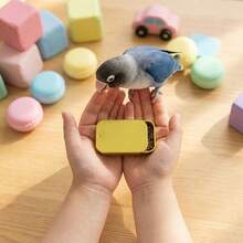 Parrot Training Set, Includes Feeding Bowl And Whistle, Metal Hand-Feeding Tool Kit, Suitable For Bird Interaction And Reward Training, Applicable For Small Parrots, Budgies, Cockatiels, Lovebirds Bird Supplies - A+B - View 7