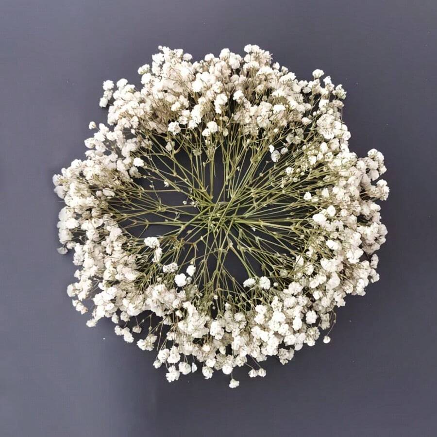 50/110/25件迷你滿天星人造花束,白色人造玫瑰,熱門婚禮迎賓區裝飾,胸花,DIY禮品包裝卡片藝術-波希米亞風編織花環,農舍風花瓶裝飾,嬰兒洗禮人造花藝布置 - 呼吸花 - 查看 1