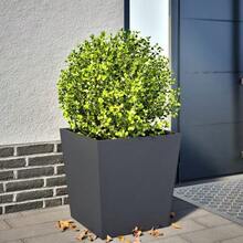 vidaXL Plant Pot, Flower Pot With Base, Planter Box, Plant Pot For Garden, Balcony, Terrace, Flower Pot, Plant Container, Flower Box, Anthracite - Charcoal Gray - View 7