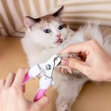 Tagliaunghie e rifinitore professionale per animali domestici con lima per unghie (2 confezioni), forbici per la toelettatura in acciaio inossidabile con protezione rapida per evitare il taglio eccessivo per cani e gatti di piccola, media e grande taglia - Visualizzare 6