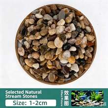1件裝 100g/300g/500g 0.3~2cm 天然原色溪流石 混色河石鵝卵石 戶外花園裝飾石 小填充石 魚缸與花盆裝飾 魚缸底砂 小花園藝術 戶外空間 花瓶填充石 - 豆石 - 查看 10