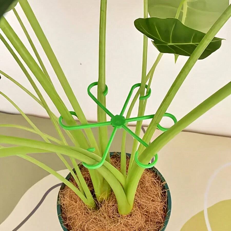 塑膠植物支撐夾,龜背竹莖部支撐架,防倒伏花枝固定架,可重複使用綠色植物莖部整理器,適用於室內盆栽植物 - 彩色 - 查看 1