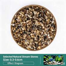 1件裝 100g/300g/500g 0.3~2cm 天然原色溪流石 混色河石鵝卵石 戶外花園裝飾石 小填充石 魚缸與花盆裝飾 魚缸底砂 小花園藝術 戶外空間 花瓶填充石 - 豆石 - 查看 8