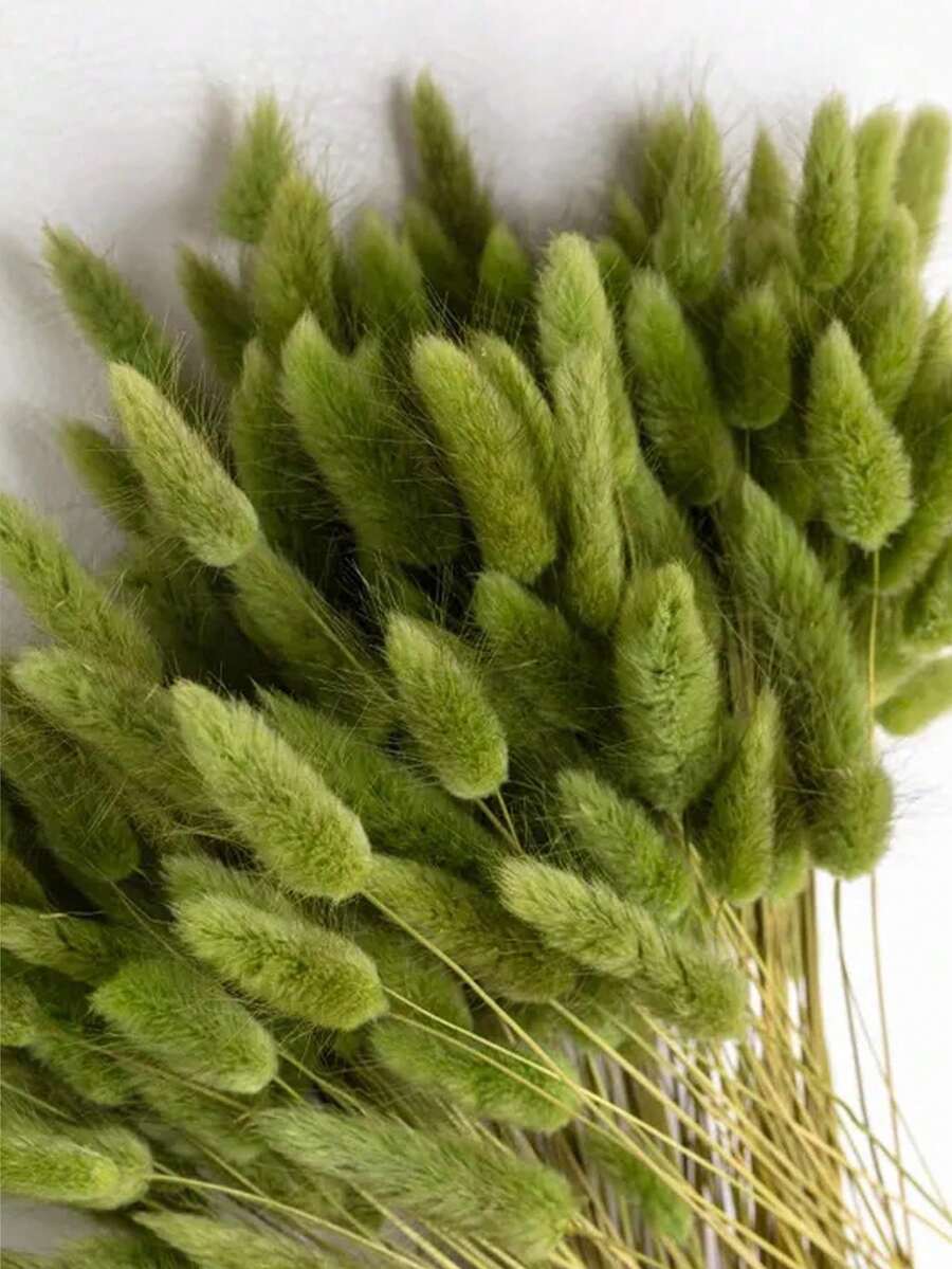 30–240 pcs | Panjang Total 17" Rumput Ekor Kelinci Buatan untuk Dekorasi Rumah. Batang Rumput Ekor Kelinci Buatan Dekoratif, Cocok untuk Rangkaian Bunga Gaya Bohemian, Kerajinan Tangan DIY, Dekorasi Lembut Rumah/Dapur, Latar Belakang Pernikahan, Natal, Dekorasi Thanksgiving, Pembuatan Karangan Bunga Buatan Tangan. - hijau kekuningan - View 1