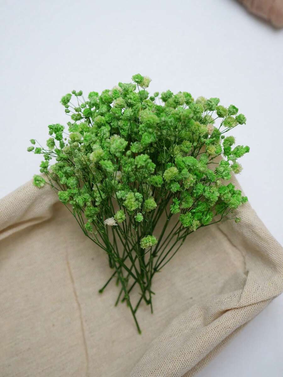 25/50/100/300pcs Artificial Baby's Breath Bouquet, Artificial Flowers, Baby's Breath Plants, Baby's Breath Flowers, Artificial Baby's Breath Bouquet, Suitable For Wedding Bridal Bouquet, Home Craft Decoration, Tabletop Decoration, Vase Arrangement, DIY Floral Decoration (Suitable For Weddings And Holidays), Room Decoration, Valentine's Day, Birthday Gift, Graduation Gift, Garden Decoration, Outdoor Plants, Gardening - Green Baby's Breath - View 1