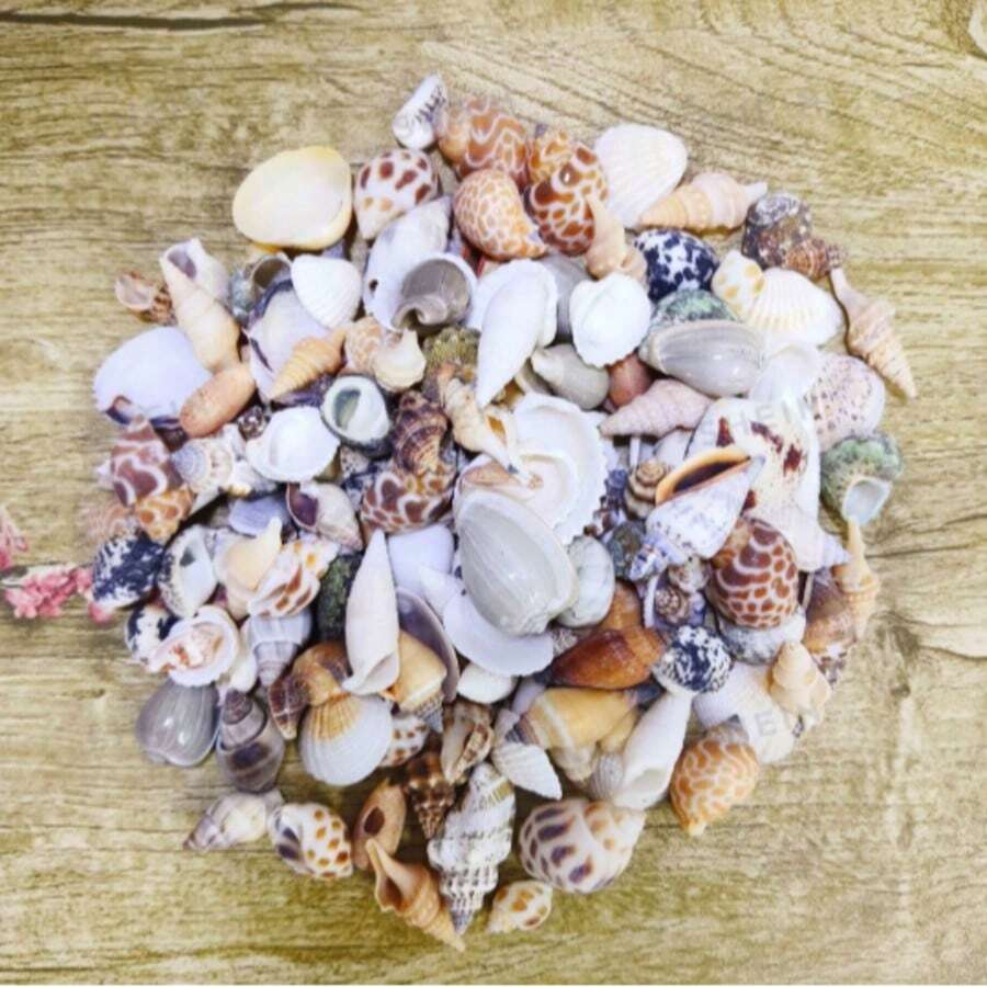 彩色迷你貝殼沙混合裝 50/100/500g 袋裝,12 種獨特款式,適用於 DIY 手作、剪貼簿、許願瓶與水族箱裝飾,生日畢業禮物 - 多款式 - 查看 1