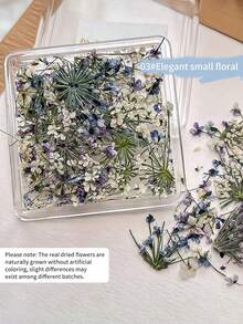 Adesivos de Arte de Unhas com Flores Secas de Jardim Primavera/Verão, Adesivos de Arte de Unhas com Flores Secas Reais, Decoração de Unhas DIY, Encantos de Unhas - Multicolorido - Visão 22