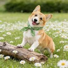 Hundekühlschals atmungsaktiver wiederverwendbarer Sommerkühlschals, verstellbar für verschiedene Hunderrassen und Größen, geeignet für Outdoor-Aktivitäten, mittlere Hunde können ihn mit Bändern tragen, handwaschbares Kühlzubehör - Grün - Übersicht 1