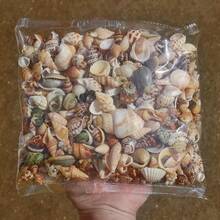 彩色迷你貝殼沙混合裝 50/100/500g 袋裝，12 種獨特款式，適用於 DIY 手作、剪貼簿、許願瓶與水族箱裝飾，生日畢業禮物 - 多款式 - 查看 1