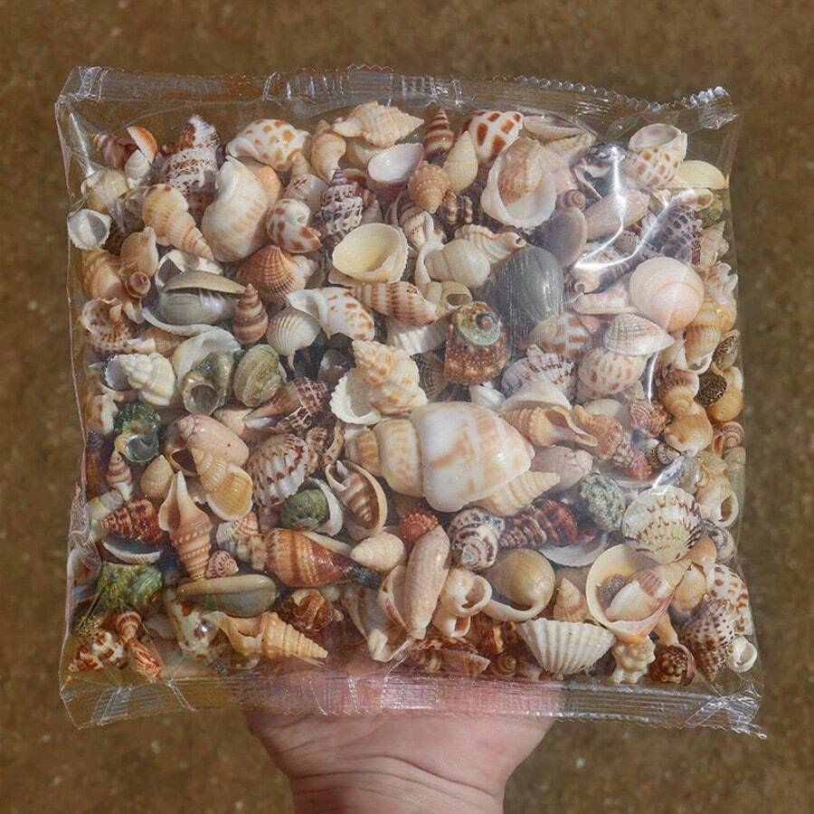 彩色迷你貝殼沙混合裝 50/100/500g 袋裝,12 種獨特款式,適用於 DIY 手作、剪貼簿、許願瓶與水族箱裝飾,生日畢業禮物 - 多款式 - 查看 1