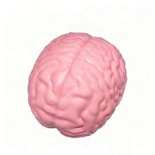 1PC-Squishy Stress Ball-Brain Squeeze Toy-Prank Toy-Stress Relief-Release Pressure--Creative Funny Gift-Squeeze Toy-Birthday Gift-Holiday Gift-Easter Gift-Valentine's Day Gift-Christmas Gift-Halloween Gift-Gift - Multicolor - View 10